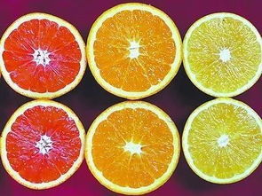 脐橙无籽是用了植物激素吗