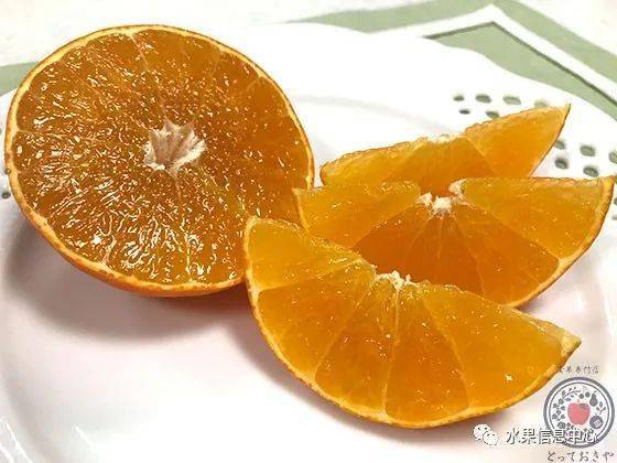 解密 日本精品水果 红美人 柑橘是如何种出来的