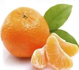 湘西滞销柑橘已销85