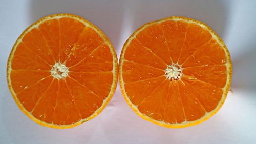 黄美人柑橘品种介绍 时下很火的新品种