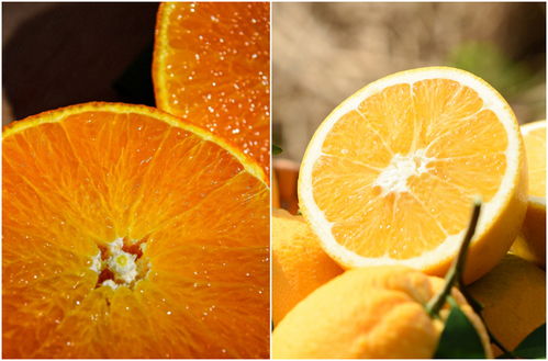吃地标橘 忆种橘事 拼多多柑橘橙双12首日卖出柑橘橙超450万斤