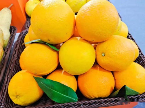 永顺多措并举促柑橘销售助果农增收